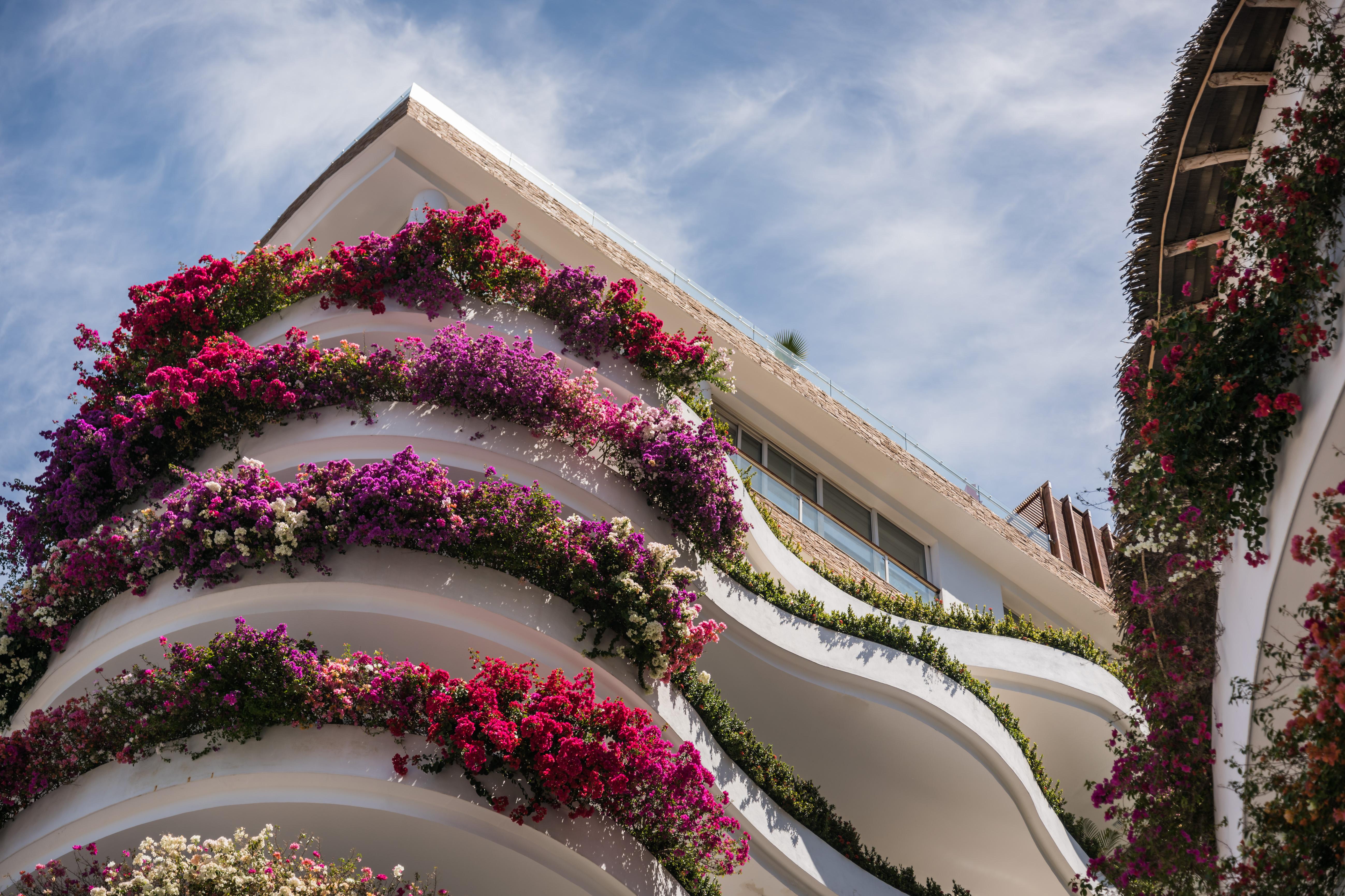פוארטו ואלארטה Grand Miramar All Luxury Suites & Residences (Adults Only) מראה חיצוני תמונה