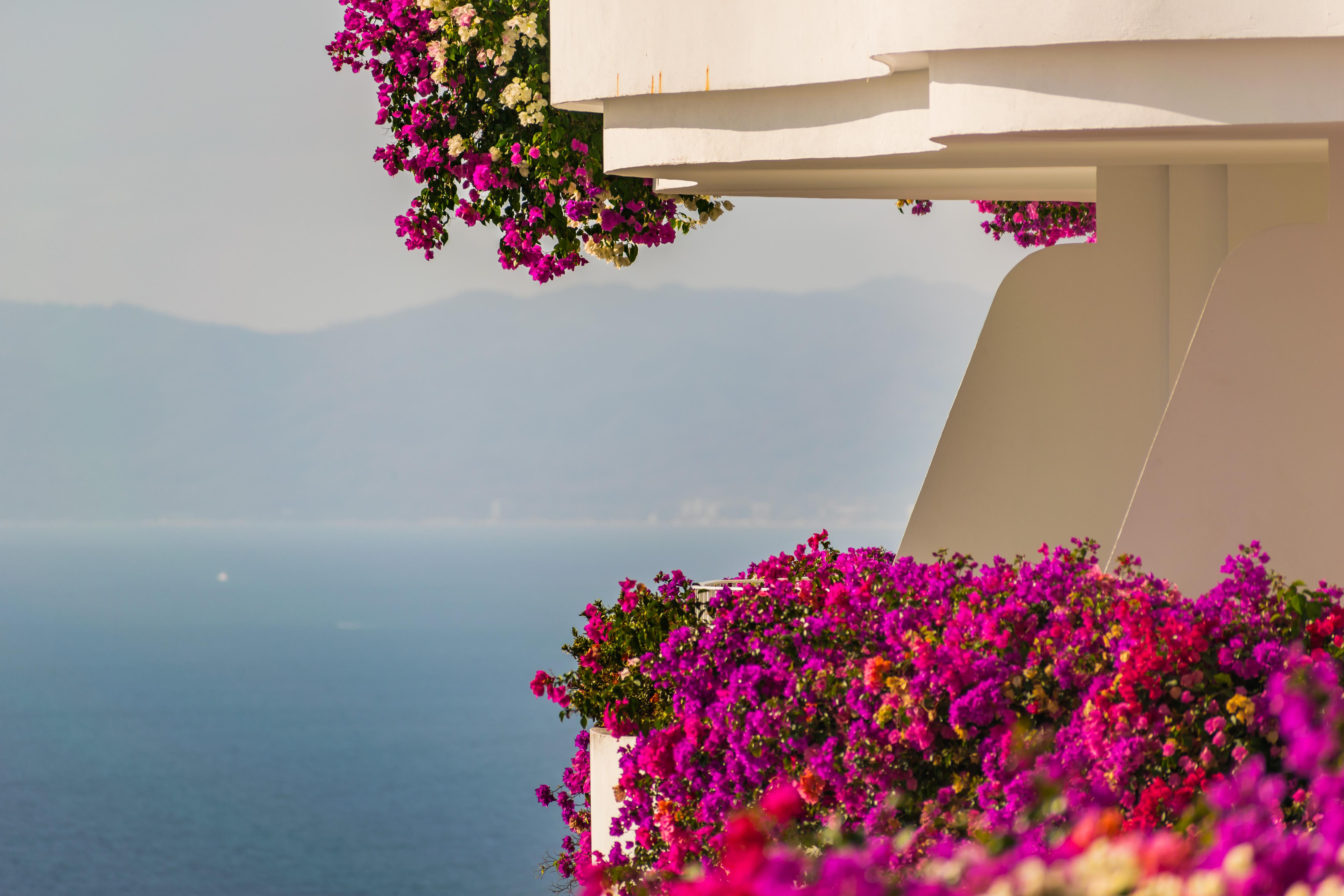 פוארטו ואלארטה Grand Miramar All Luxury Suites & Residences (Adults Only) מראה חיצוני תמונה