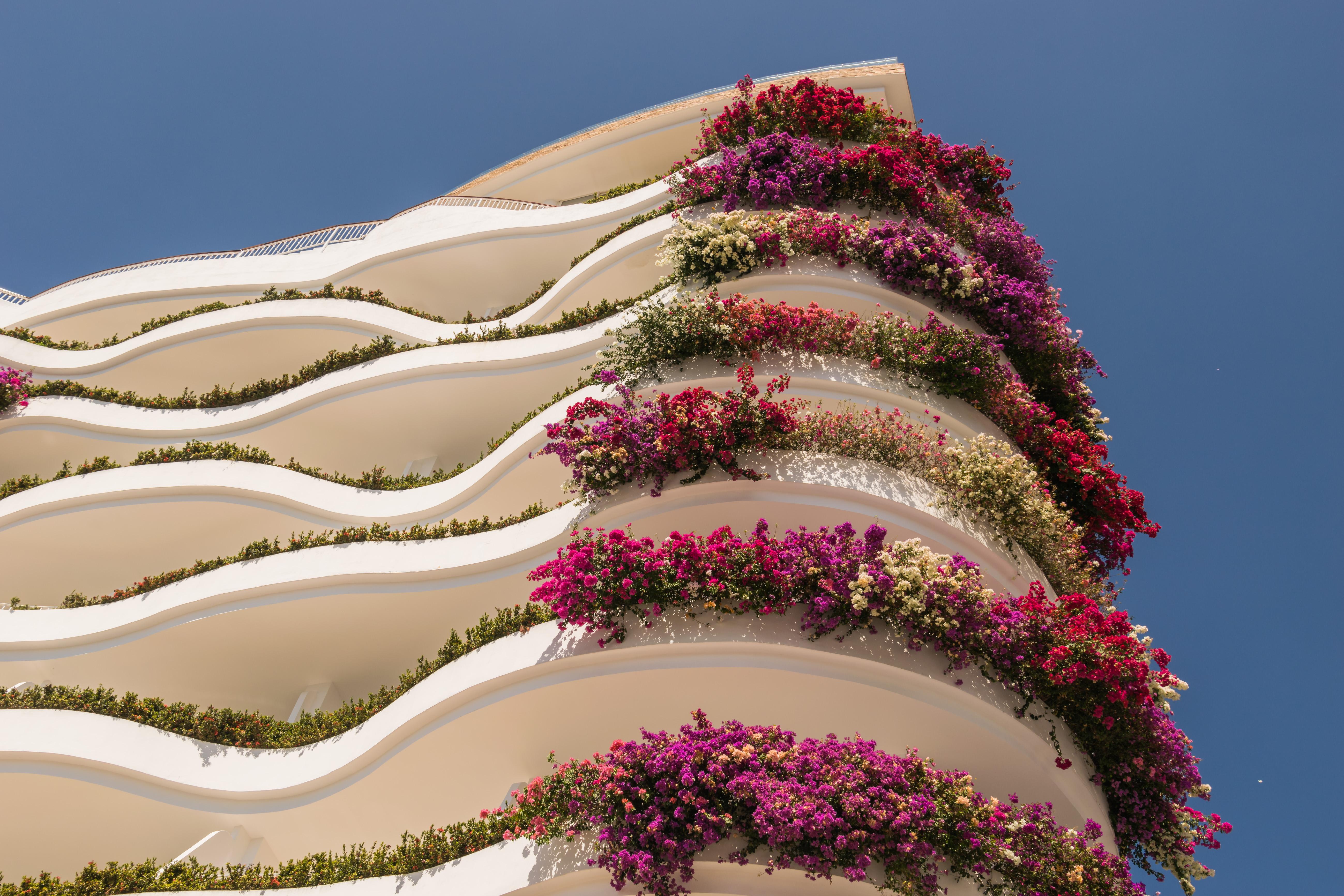 פוארטו ואלארטה Grand Miramar All Luxury Suites & Residences (Adults Only) מראה חיצוני תמונה