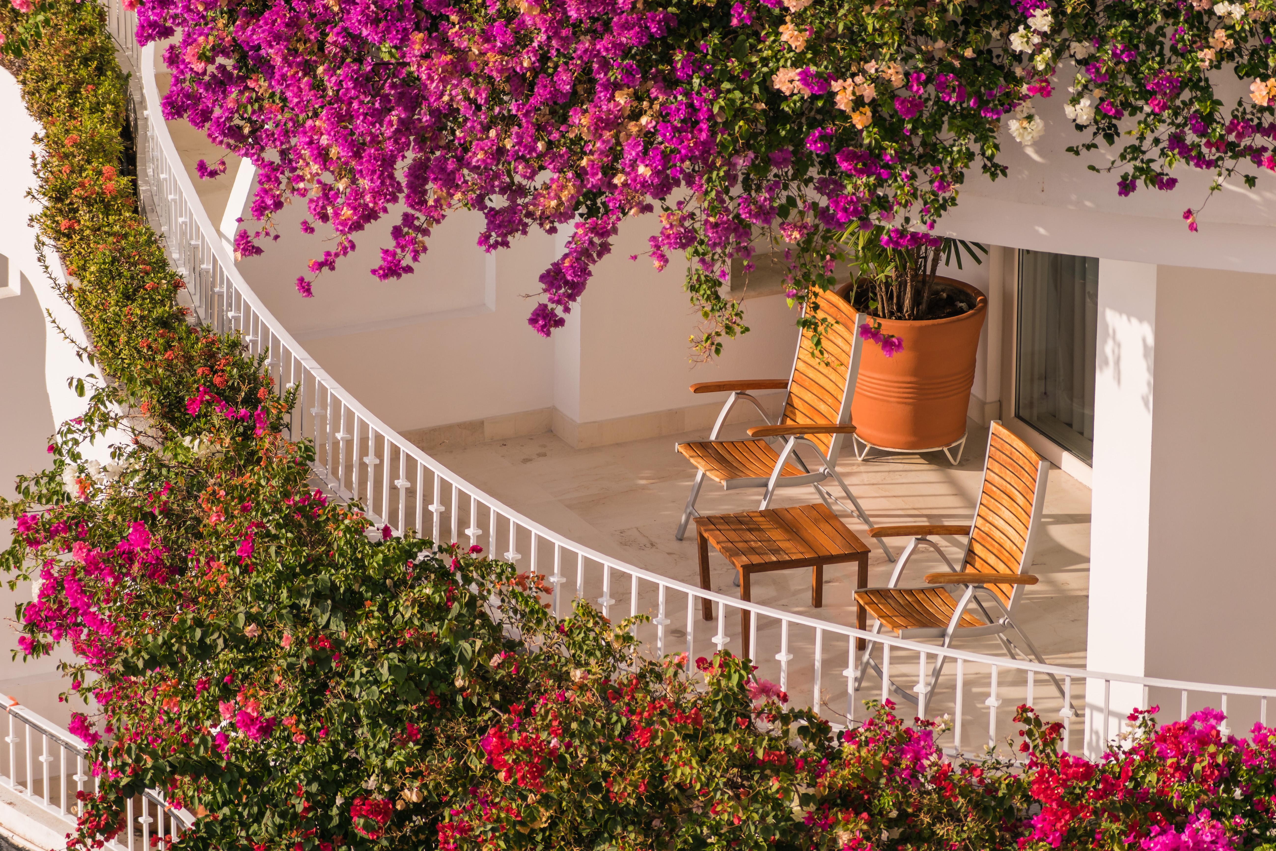 פוארטו ואלארטה Grand Miramar All Luxury Suites & Residences (Adults Only) מראה חיצוני תמונה