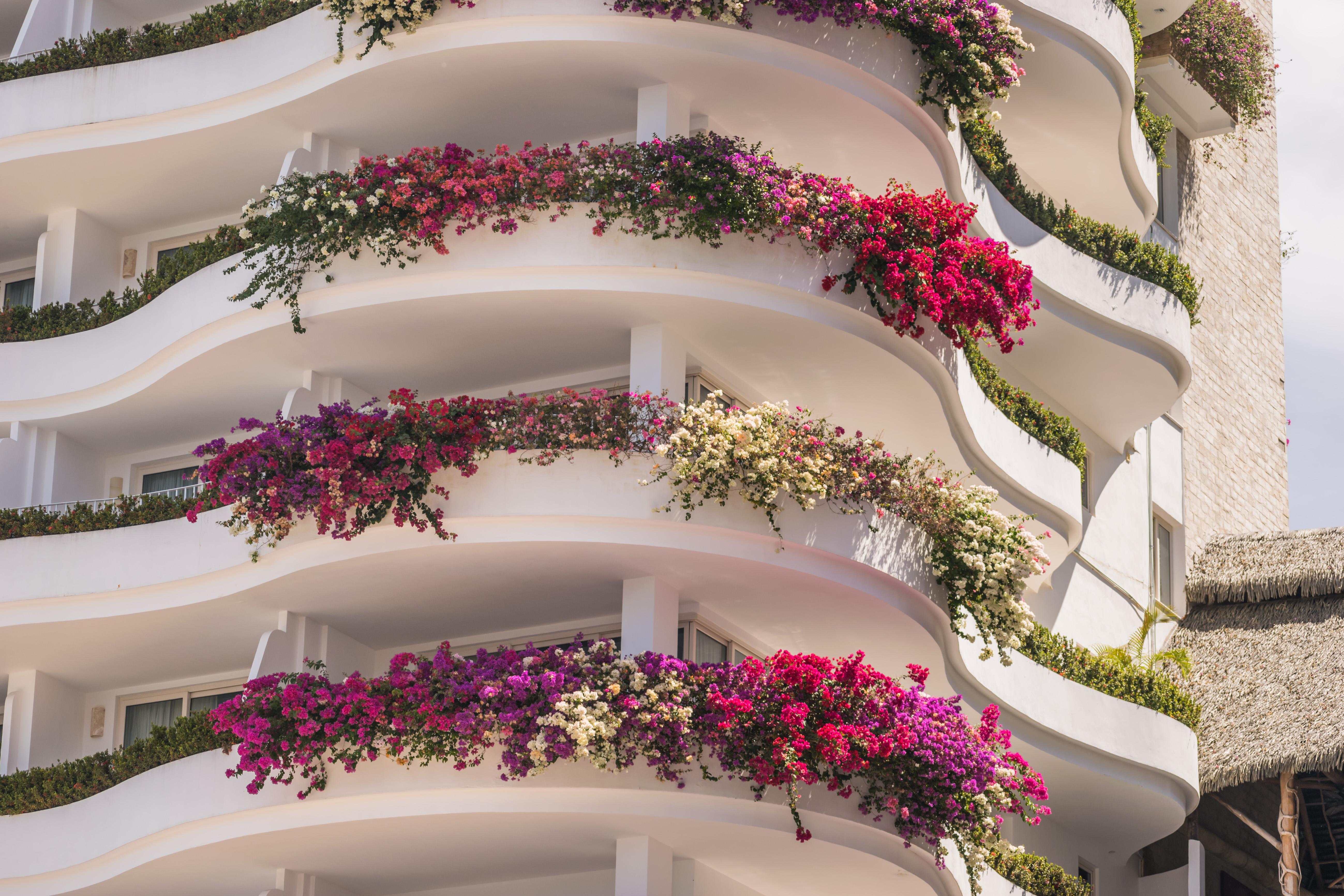 פוארטו ואלארטה Grand Miramar All Luxury Suites & Residences (Adults Only) מראה חיצוני תמונה