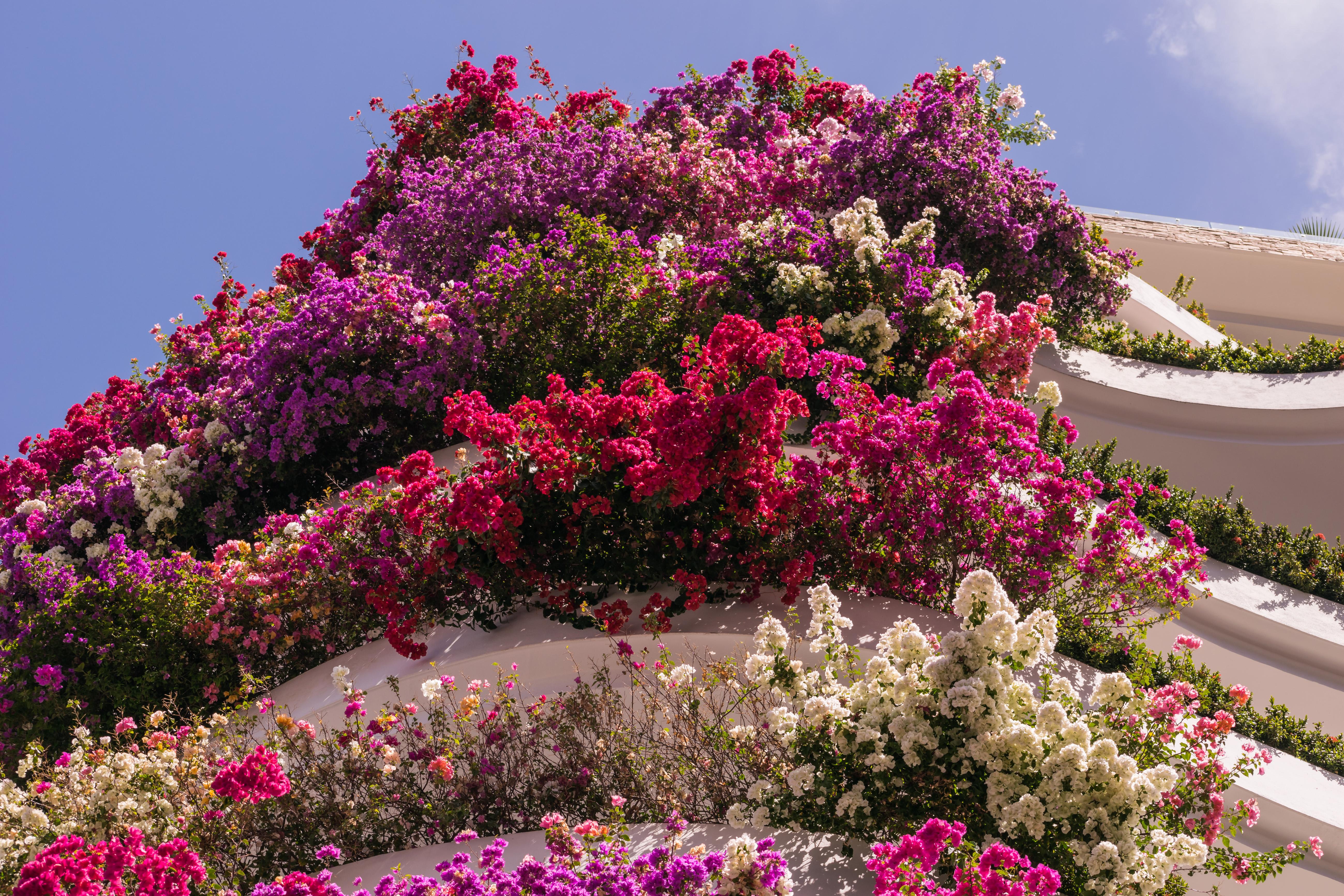 פוארטו ואלארטה Grand Miramar All Luxury Suites & Residences (Adults Only) מראה חיצוני תמונה