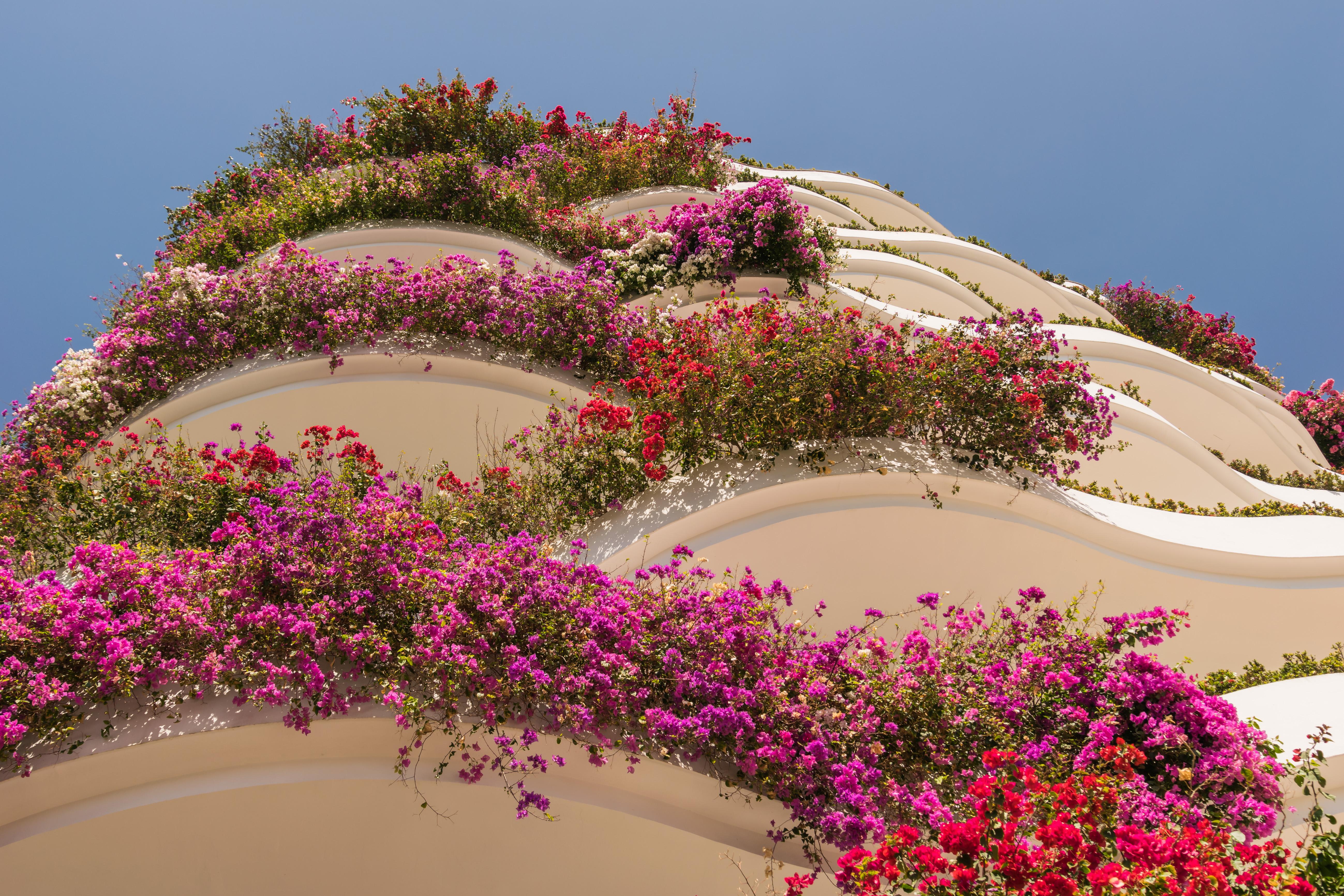פוארטו ואלארטה Grand Miramar All Luxury Suites & Residences (Adults Only) מראה חיצוני תמונה